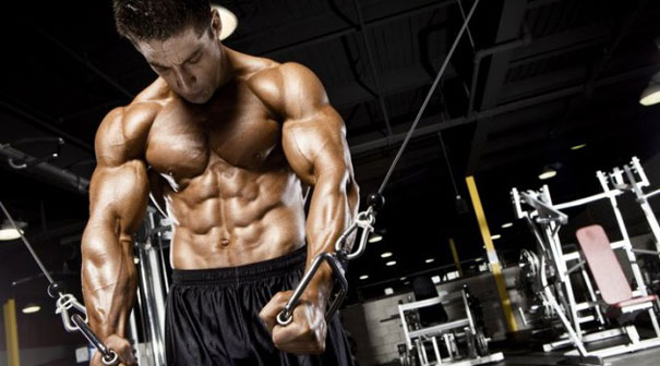 How To STAY LEAN and MAINTAIN 6-Pack Abs (All Year Round!)